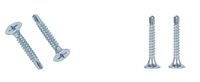 Truss Head Screw (2)