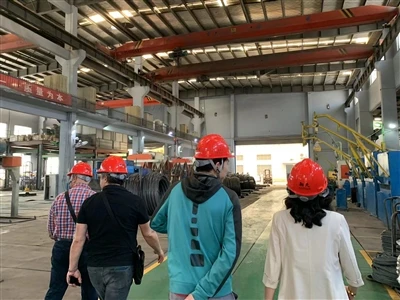 Cliente turco vem visitar nossa empresa